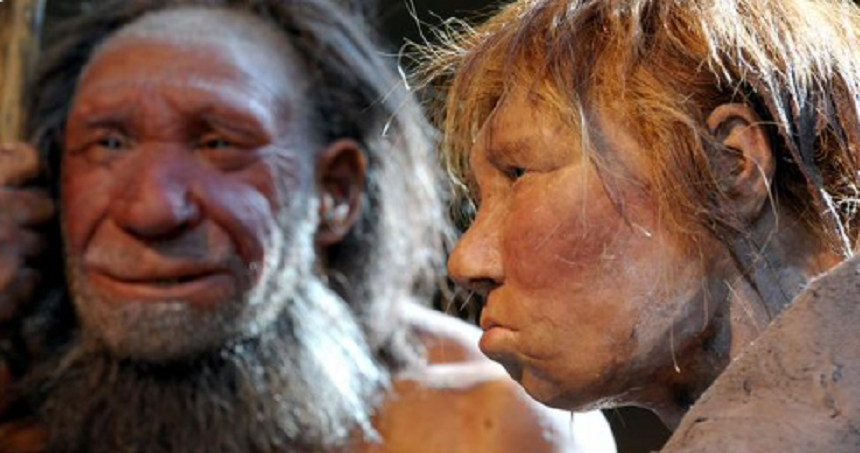 Omul de Neanderthal auzea la fel de bine ca „vărul” său Homo sapiens – studiu