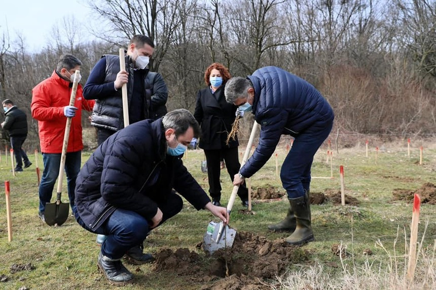 Marcel Ciolacu a plantat arbori în Dâmboviţa de Ziua Internaţională a Pădurilor / Liderul PSD: Trebuie să creştem suprafeţele împădurite şi să oprim definitiv tăierile ilegale – FOTO