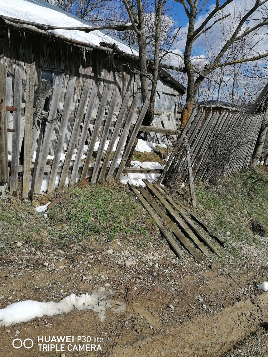 Locuitorii unei comune din Buzău se plâng că sunt terorizaţi de urşi, animalele intrând deseori în gospodării / Localnicii suspecteză chiar că un bărbat ar fi fost devorat de sălbăticiuni – FOTO