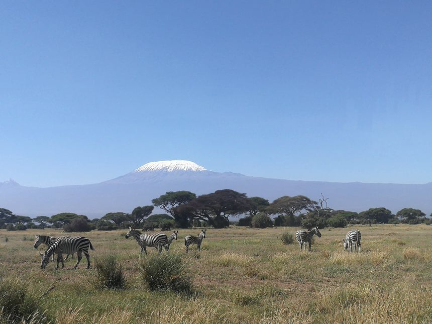 Ghid kenyan: Pandemia a fost cea mai mare lovitură pentru turismul nostru, dar acum ne revenim. Turiştii trebuie să respecte mediul şi animalele