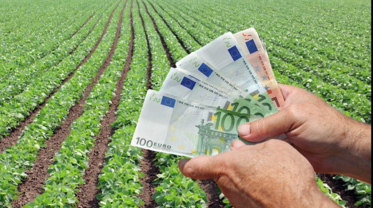 APIA a înregistrat în 2021 peste 395.000 de cereri unice de plată pentru o suprafaţă de peste 2,2 milioane de hectare de terenuri agricole