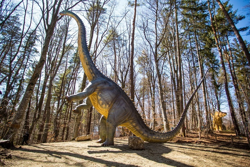 Cel mai înalt dinozaur din sud-estul Europei, expus la Dino Parc Râşnov – FOTO