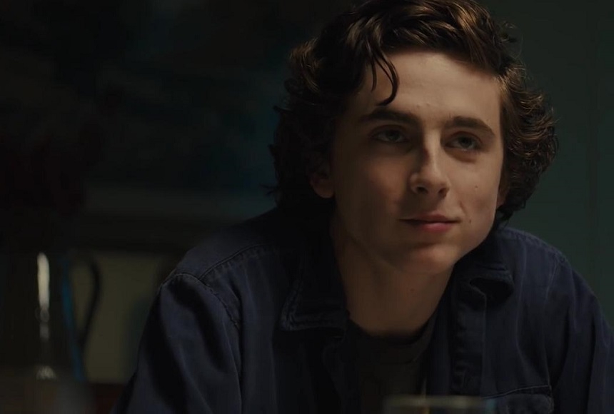 Timothee Chalamet va fi Willy Wonka în musicalul pregătit de Warner Bros.