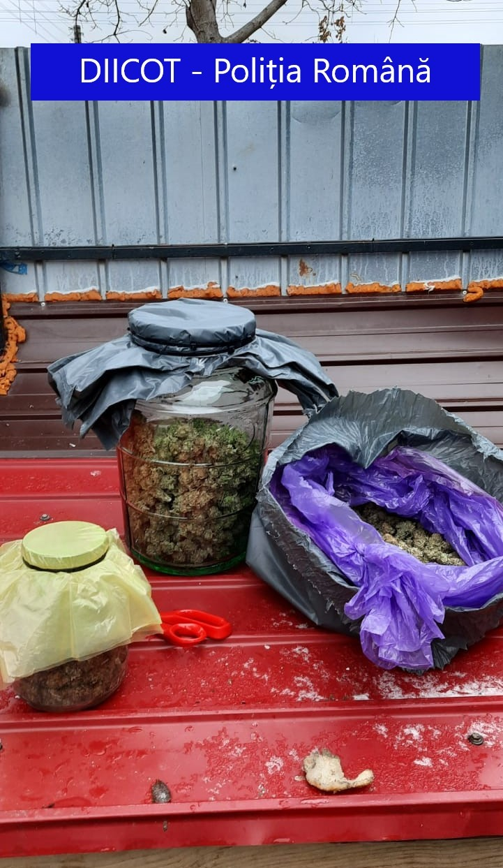 Galaţi: Bărbat reţinut după ce a fost prins în flagrant cu 2,6 kilograme de cannabis în maşină, droguri pe care urma să le vândă