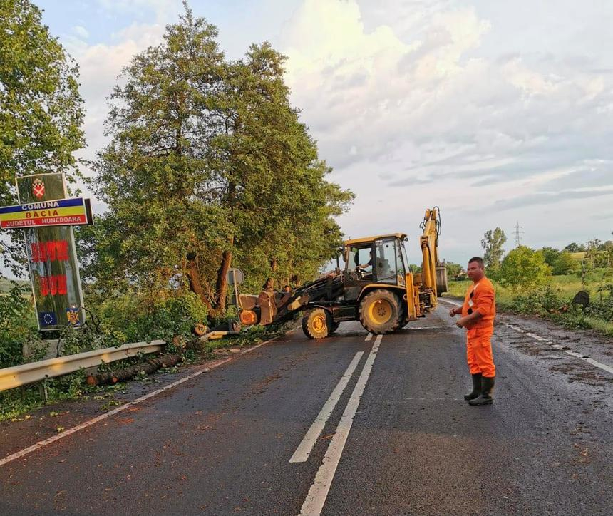 Copac prăbuşit pe un drum naţional şi acoperiş smuls de vânt în urma unei furtuni, în judeţul Hunedoara – FOTO