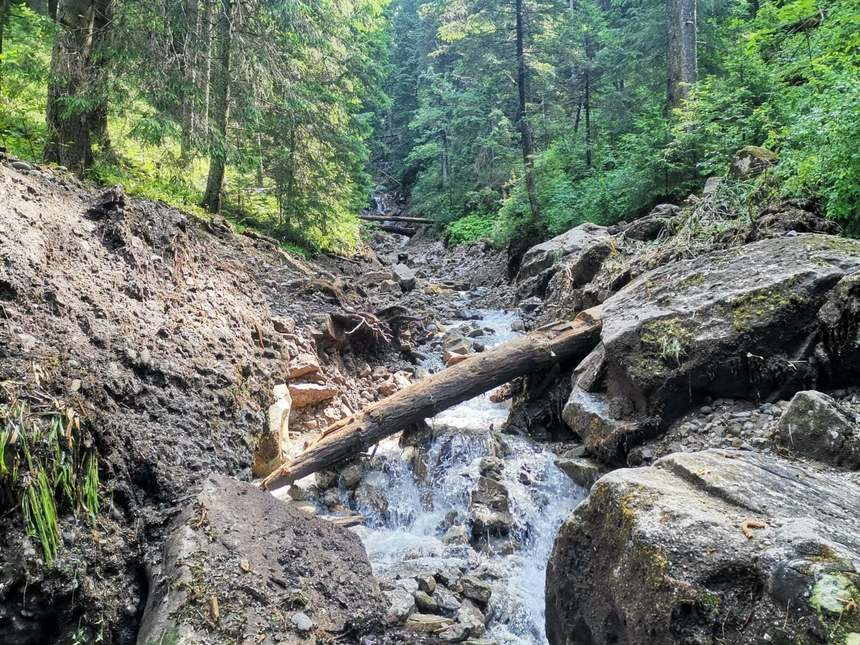 Trasee montane închise în Parcul Naţional Ceahlău, din cauza distrugerilor făcute de torenţi / Salvamont Neamţ: Drumurile forestiere pentru evacuarea victimelor accidentelor sunt complet impracticabile, iar timpul de răspuns va fi de trei ori mai mare