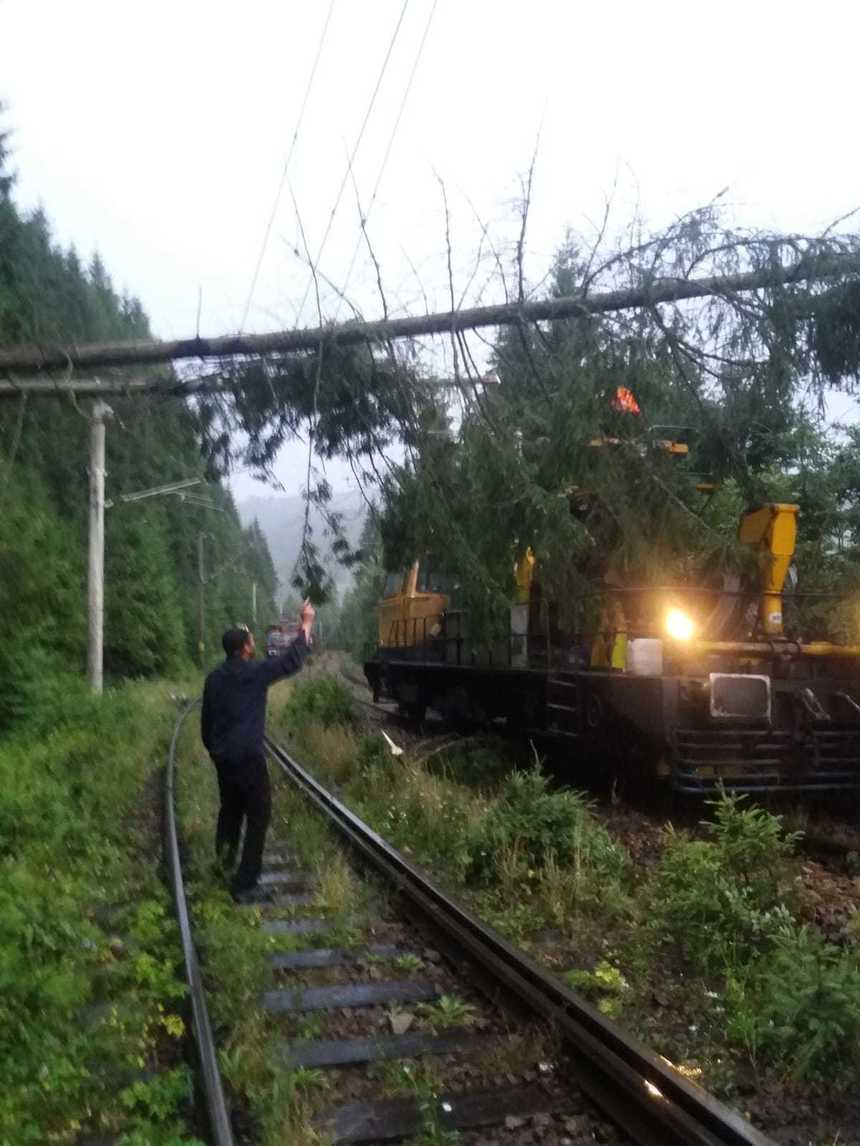 Trenuri întârziate, după ce furtunile au doborât mai mulţi arbori pe liniile de cale ferată – FOTO