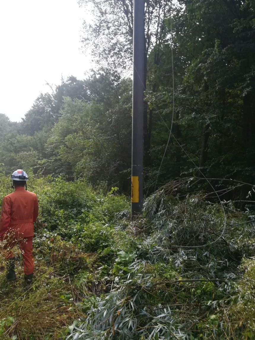 Delgaz Grid: Continuăm să lucrăm pentru realimentarea cu energie a circa 1.000 de clienţi din nouă localităţi din judeţele Iaşi, Vaslui, Bacău, Neamţ şi Suceava