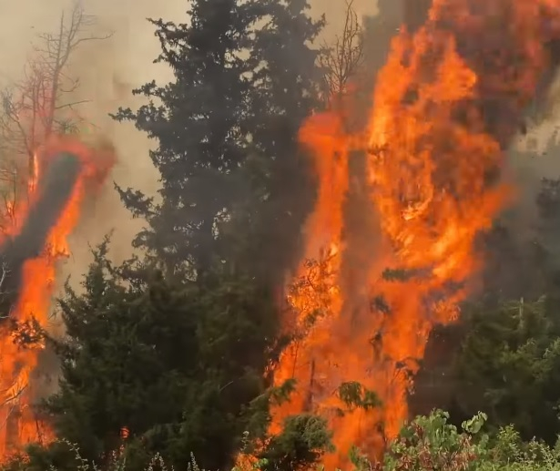 Incendiile continuă în Grecia. 1.500 de pompieri luptă cu cinci focare puternice în nordul Atenei. Premierul Kyriakos Mitsotakis a promis o reîmpădurire rapidă a zonelor afectate – VIDEO