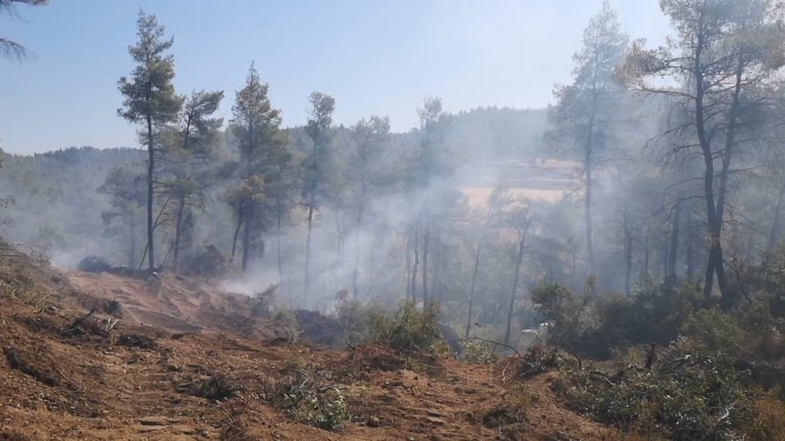 Pompierii români vor interveni duminică în prima misiune la incendiile din Grecia, în zona Spathari – VIDEO