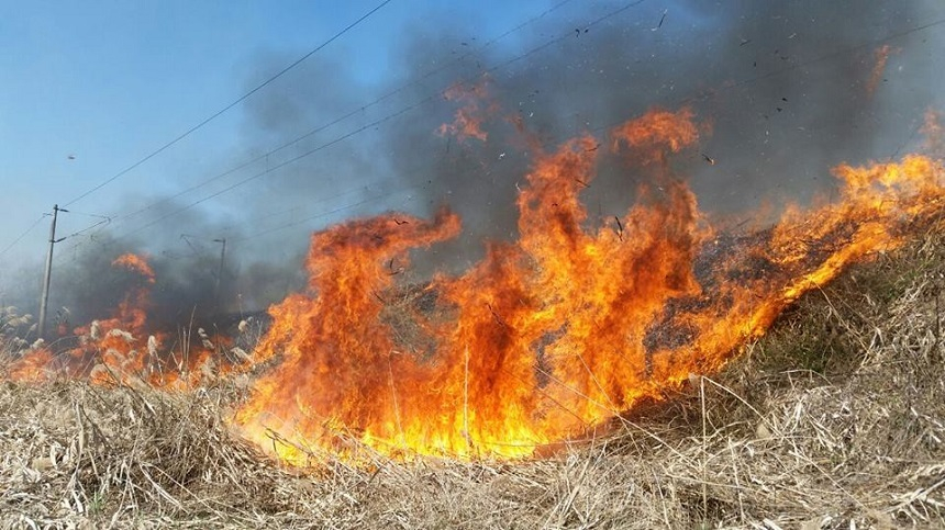 Mehedinţi: 45 de pompieri intervin pentru stingerea unui incendiu violent de vegetaţie care s-a extins la mai multe gospodării. A fost solicitat sprijinul ISU Dolj