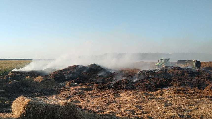 Vâlcea: Incendiu de proporţii la gunoi de grajd aparţinând unei ferme de creştere a păsărilor / Pompierii au suplimentat efectivele care intervin şi au aruncat deja peste o sută de tone de apă / Zeci de focare sunt active