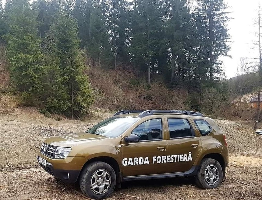 Garda Forestieră Suceava a descoperit fapte ilegale pe raza ocolului silvic Dealu Negru din judeţul Suceava, la sesizarea unui jurnalist / Ministrul Mediului cere celor care au astfel de informaţii să le raporteze autorităţilor, să nu se expună