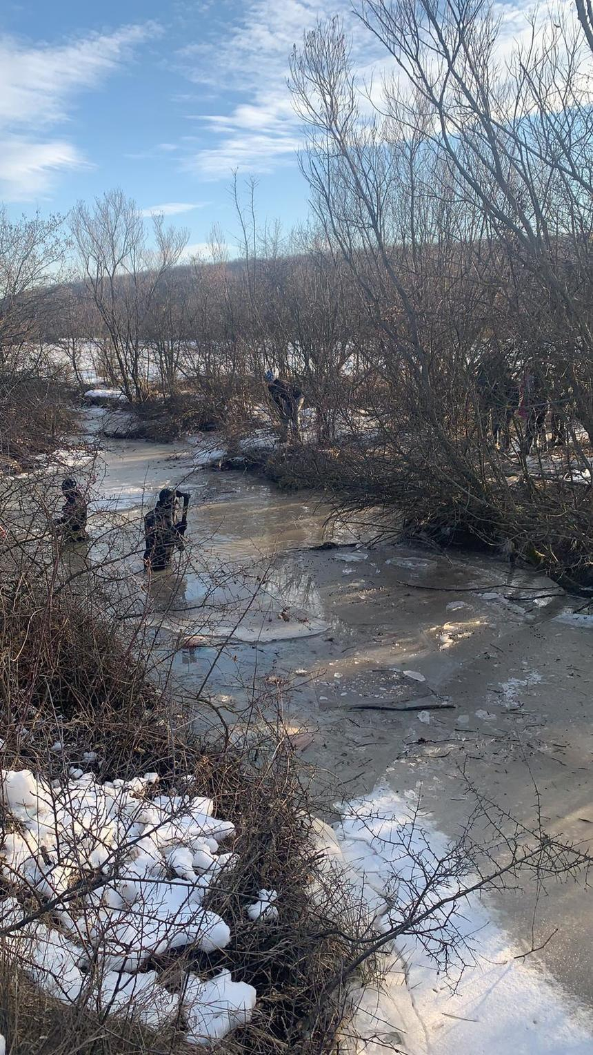 Olt: Cioban căutat într-un pârâu deoarece sunt indicii că s-ar fi înecat. Din apă au fost scoase 70 de oi moarte