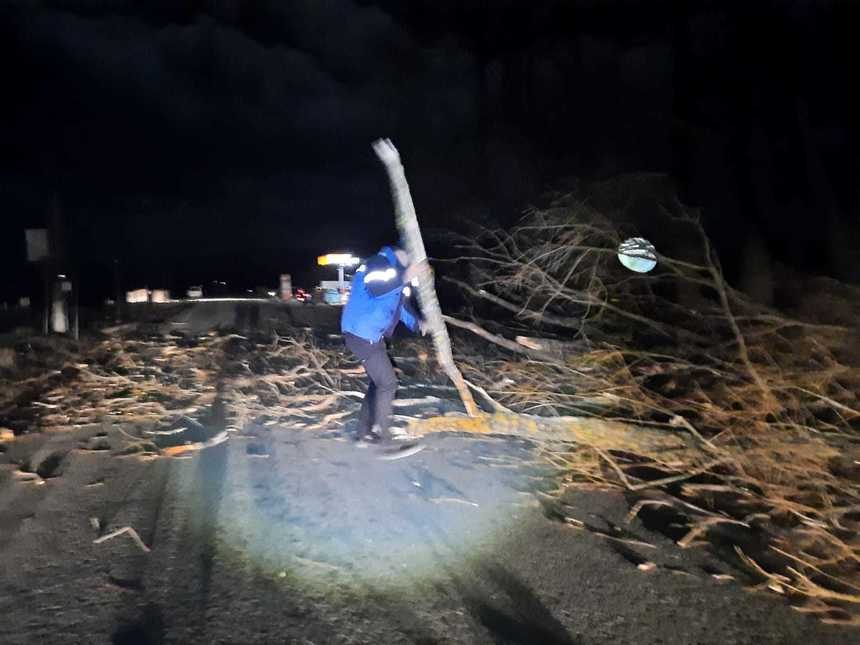 Trafic blocat pe DN 2D, după ce vântul a doborât mai mulţi copaci care au ajuns pe şosea – FOTO, VIDEO