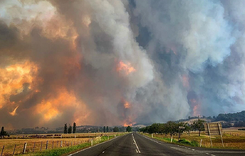 Fumul degajat de incendiile de vegetaţie poate răspândi boli infecţioase – Cercetare