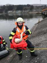 Cluj: Lebădă salvată de pompieri de pe lacul de acumulare din Floreşti, unde aceasta plutea între deşeurile din zona de decantare