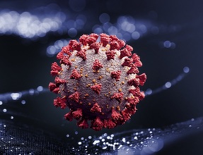 Franţa: 8.822 de noi cazuri de coronavirus şi 175 de decese în ultimele 24 de ore