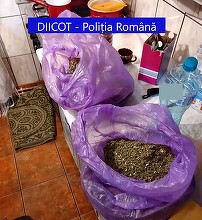 Două persoane, reţinute de DIICOT Suceava în urma unor percheziţii la care a fost găsită o cantitate de 1,2 kilograme de substanţe cu efect psihoactiv