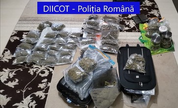 Timişoara: Două persoane arestate la domiciliu pentru trafic de droguri de risc şi mare risc/ Circa patru kilograme de cannabis, găsite în urma percheziţiilor