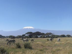 Ghid kenyan: Pandemia a fost cea mai mare lovitură pentru turismul nostru, dar acum ne revenim. Turiştii trebuie să respecte mediul şi animalele