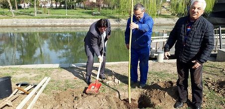 Directorul Horticultura Timişoara, Andrei Drăgilă, care conduce instituţia din 1991: Am fost intimidat şi s-au făcut presiuni asupra mea pentru a demisiona din postul pe care l-am ocupat în urma unui concurs legal