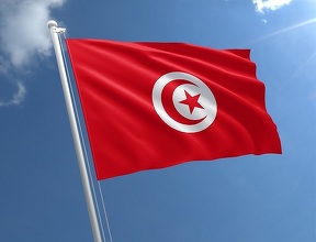 Preşedintele tunisian l-a demis pe prim-ministru şi a ridicat imunitatea tuturor parlamentarilor