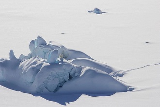 „Last Ice Area” din Oceanul Arctic se topeşte mai repede decât era de anticipat – studiu