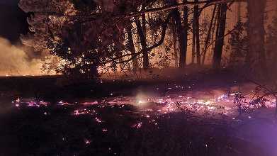 Incendiu de vegetaţie şi litieră de pădure, în judeţul Alba/ Focul a cuprins o suprafaţă de aproximativ 2.000 de metri pătraţi – FOTO, VIDEO