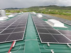 Compania Sitemani a devenit producător de energie verde, după ce E.ON i-a construit la Sibiu o centrală fotovoltaică care generează anual 155,7 MWh