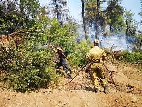 Cîţu: Grecia are nevoie din nou de ajutor! Trimitem 142 de pompieri salvatori care să îi ajute pe greci să stingă incendiile de pădure