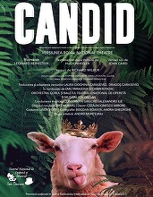 Spectacolul „Candid”, de Leonard Berstein, prezentat în premieră la Festivalul „Enescu”