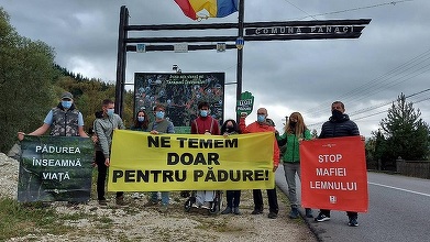 Protest al activiştilor de mediu la Suceava, unde un activist şi doi jurnalişti au fost bătuţi. Protestatarii cer autorităţilor „maximă seriozitate” în investigarea cazului