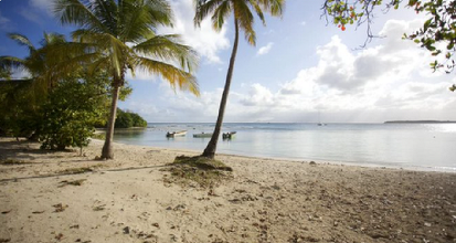 Cutremur de 5,2 pe scara Richter în Guadelupa