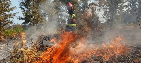 Un număr de 36 de pompieri români intervin pentru stingerea incendiilor de vegetaţie din zona Quartier Le Frayot din Franţa – FOTO, VIDEO